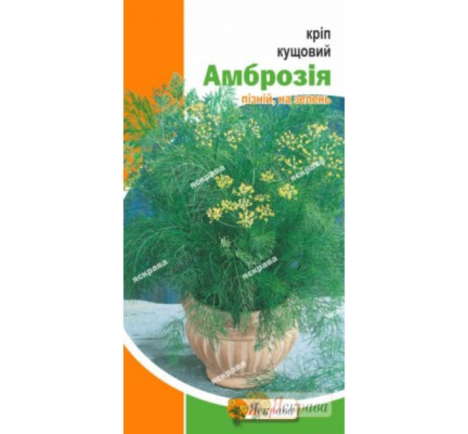 Семена укропа кустового "Амброзия", 5 г