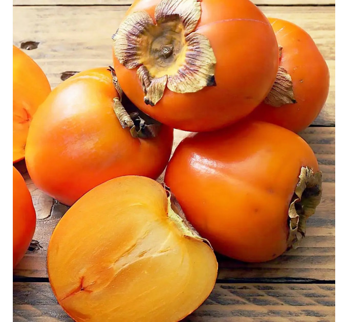 Саджанці хурми сорт Шарон 1 річні, напівупаковані