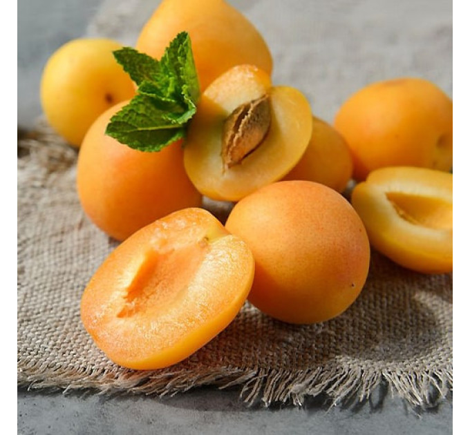 Саженцы абрикоса Голд Рич