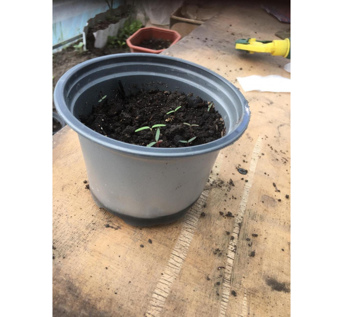 Стакан для цветов и рассады d 12, мягкий с перфорацией, UAH, 550 мл