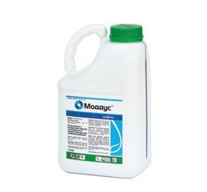 Регулятор росту Моддус, 5 л