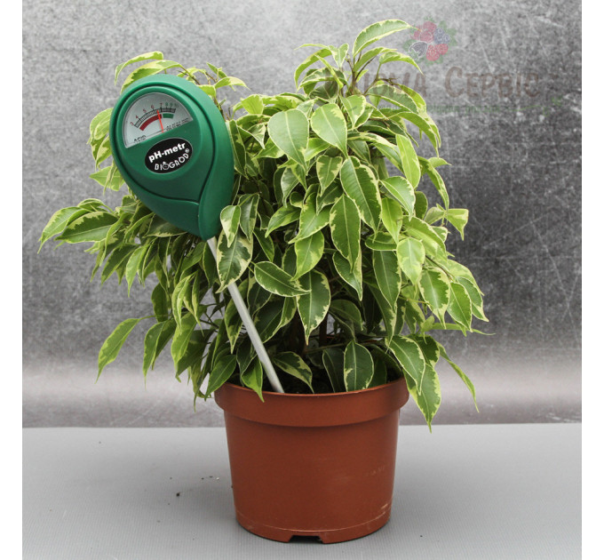 Измеритель кислотности / pH метр