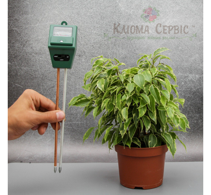 Измеритель кислотности pH, влажности, освещенности почвы