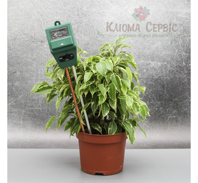 Измеритель кислотности pH, влажности, освещенности почвы