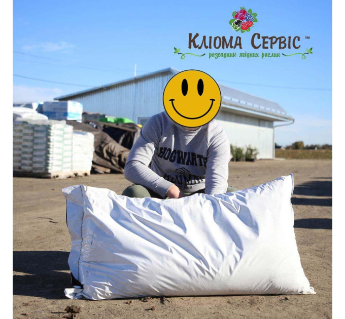 Торф верховой 3.5-4.5 pH 0-8 мм 100 л, Клиома Сервис