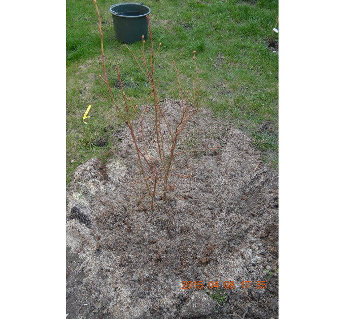 Кислый верховой торф 3.5-4.5 pH 30 л, Клиома Сервис