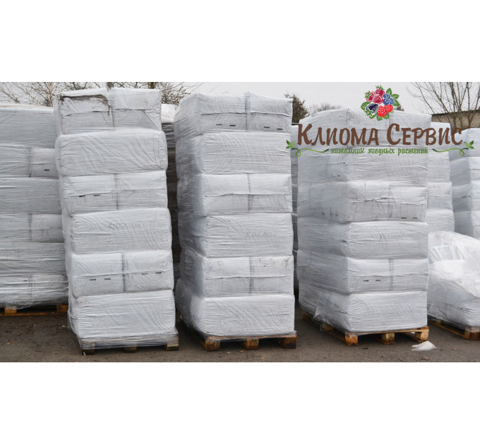 Торф белорусский верховой в пакетах 250л, фр. 0-7 нейтральный (ph 5,5 - 6,5)