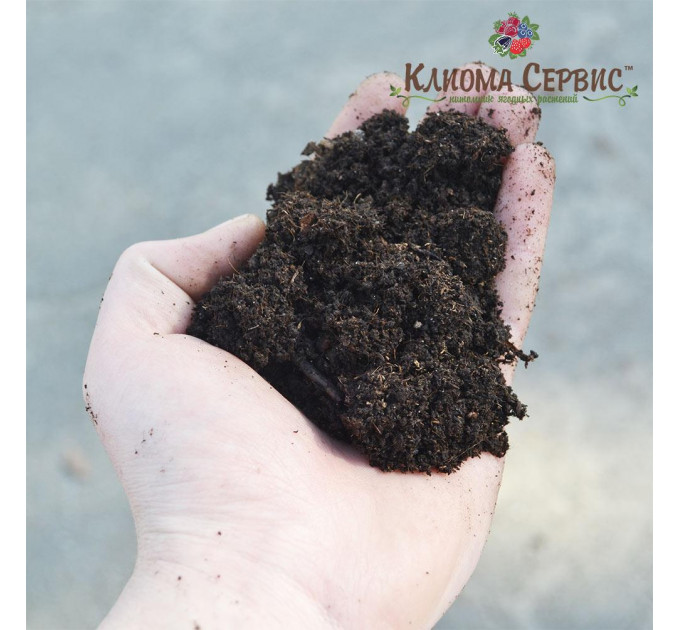 Переходной торф для рассады овощных, ягодных и цветочных культур pH 5.5-6.5, 30 л