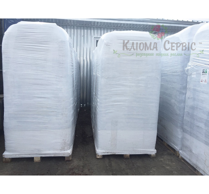 Торфяной субстрат для посева и рассады REMIX 1 pH 5.5-6.5 0-7 мм, 4500 л