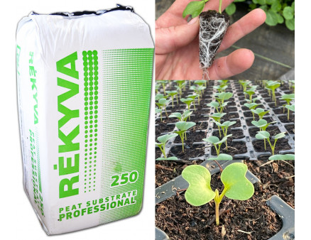 Торфяной субстрат для посева рассады Remix 1 pH 5.5-6.5 0-7 мм 250 л, Rekyva 