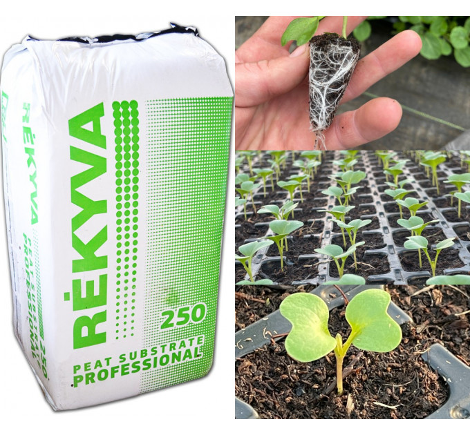 Торфяной субстрат для посева рассады Remix 1 pH 5.5-6.5 0-7 мм 250 л, Rekyva