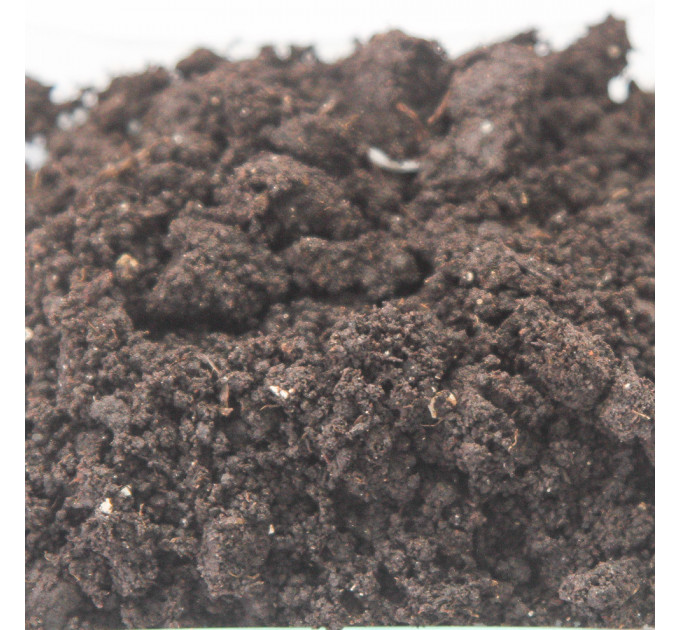 Грунт универсальный, 2.5 л