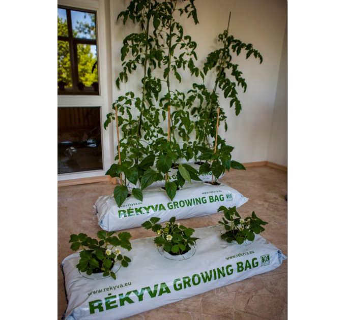 Торф'яний субстрат GROWING BAG pH 5.5-6.5, 45 л