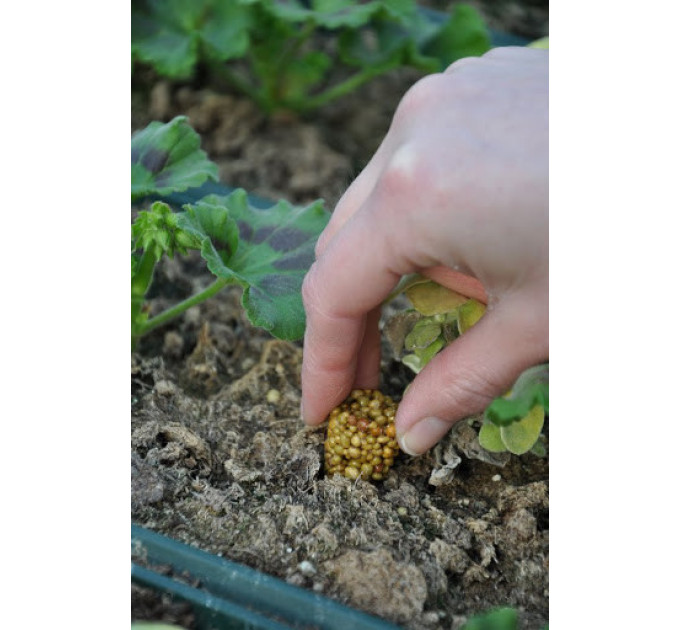 Osmocote Exact Tablet 14+8+11+2+TE 5-6 М ,1 таблетка