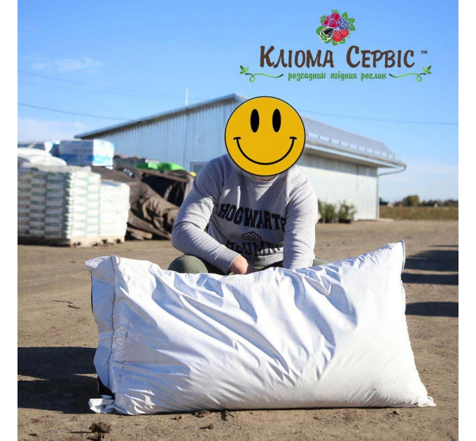 Торф верховой раскисленный 5.5-6.5 Ph фр. 0-40, 100 л Baltic Peat