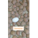 Семенной картофель Беллароза, 50-60 дней 2 репродукция
