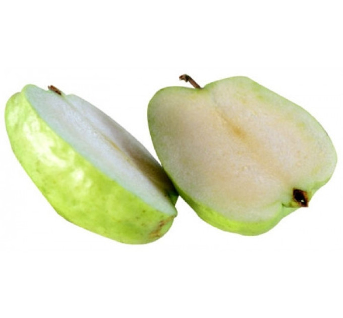 Саженцы яблони осенней Матрешка, подвой 54-118