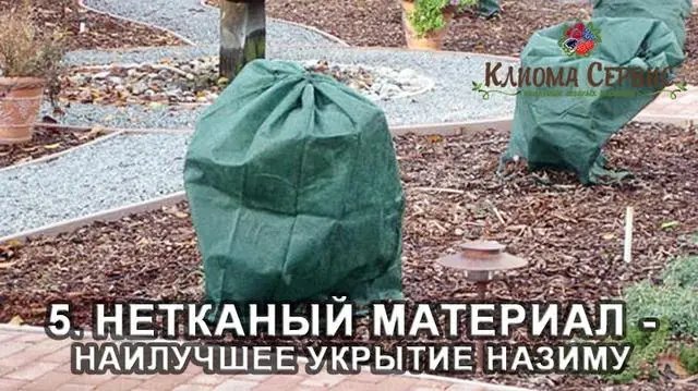 Краще укриття на зиму – нетканий матеріал