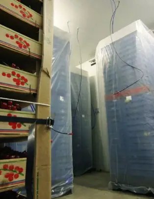 фото мішків виробництва Palliflex, система захисту ягід