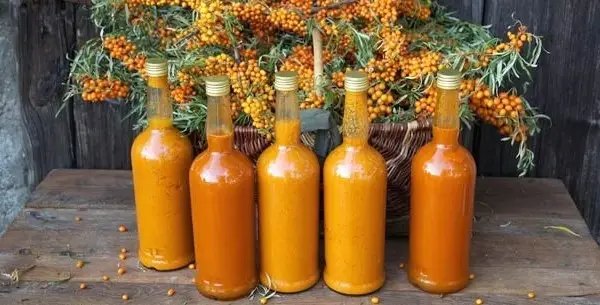 вирощування ягоди обліпихи як бізнес для України Чи варто вирощувати обліпиху в Україні