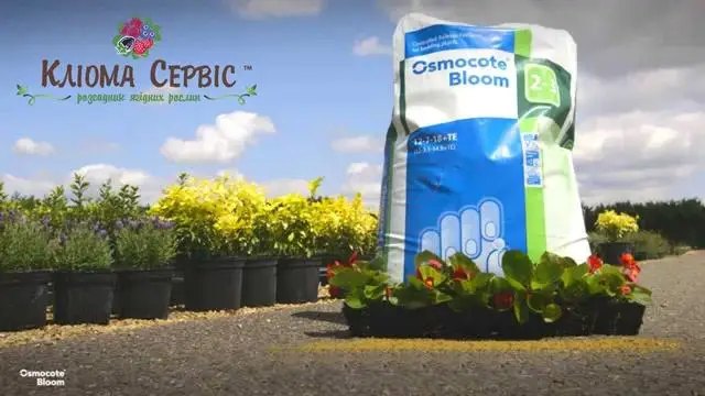Osmocote добриво, як вносити добриво осмокот для рослин