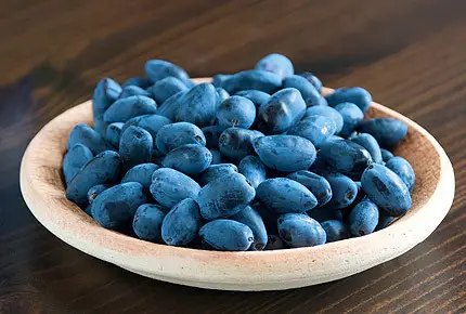 Користь ягід жимолості