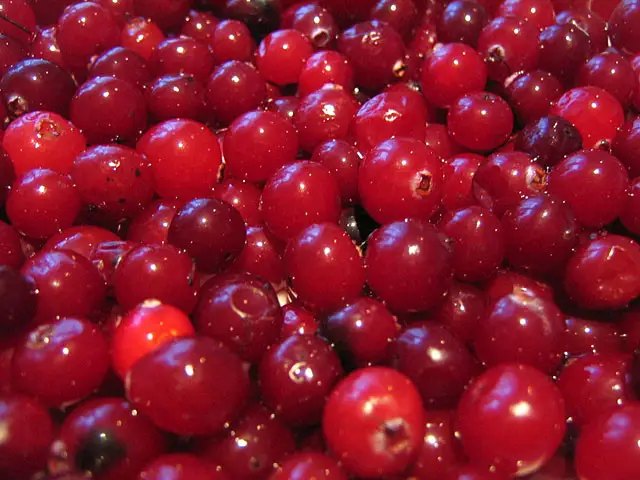 користь ягід журавлини