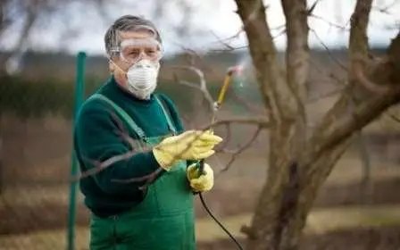 препараты для обработки растений весной, защита урожая препараты для обработки растений весной, защита урожая