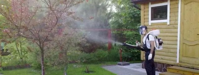 Обприскування культур до розпускання бруньок