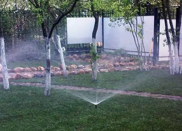 Дощування захист рослин від заморозків