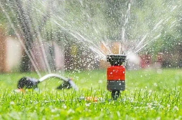 Полив захист рослин від заморозків