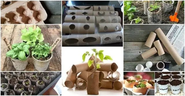 Контейнери для розсади своїми руками