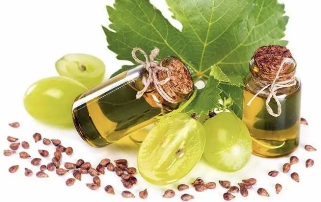 Корисні властивості виноградних кісточок та особливості виноградні кісточки, як правильно вживати виноградні кісточки, чи можна їсти виноград з кісточками, олія виноградних кісточок, чим корисні виноградні кісточки, олія виноградних кісточок харчова, як приймати олію виноградних кісточок, виноградні кісточки користь, виноград користь, що зробити з винограду