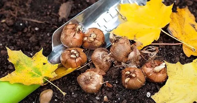 календар, місячний календар, місячний календар на листопад, що і у які дні краще робити