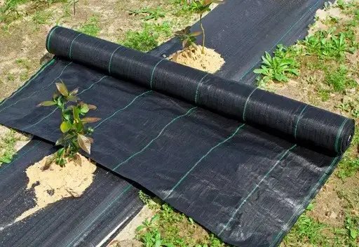 агроволокно, агротканина, яка різниця між агроволокном та агротканиною, чим краще мульчувати