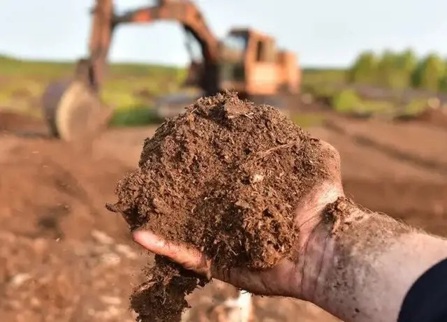 сукуленти, посадка сукулентів, який грунт підходить для сукулентів, як приготувати грунт для сукулентів самостійно