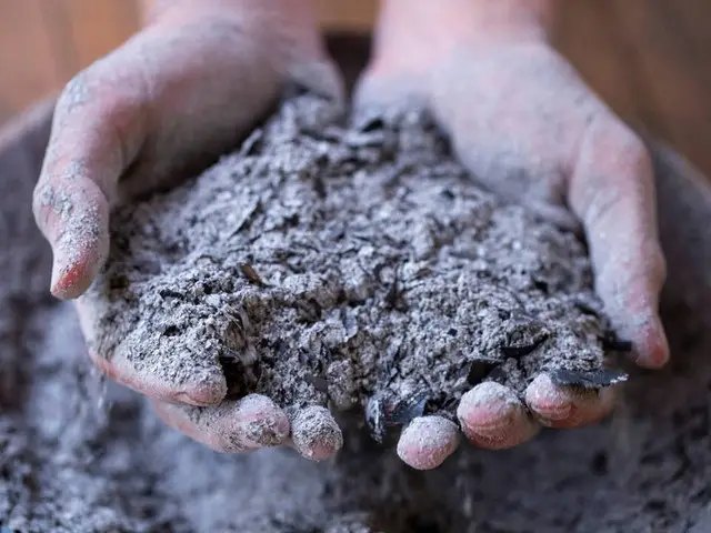 зола, підживлення рослин, підживлення рослин золою, зола у якості осіннього добрива