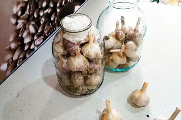 часник, часник взимку, правила зберігання часнику взимку, як правильно зберігати часник взимку