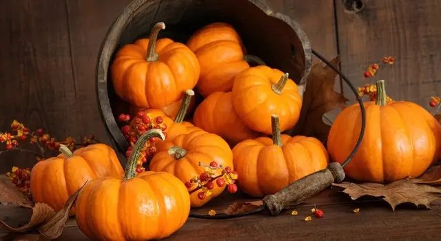 гарбузи, зберігання гарбузів, особливості зберігання гарбузів, як правильно зберігати гарбузи