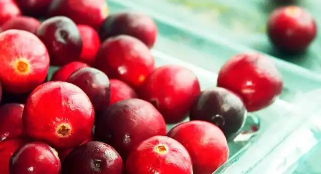 журавлина, сорти журавлини, топ 5 сортів журавлини, кращі сорти журавлини по версії Кліома