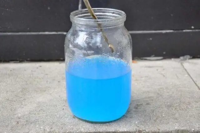 бордоська суміш, приготування бордоського розчину, приготування бордоської суміші, використання бордоської суміші