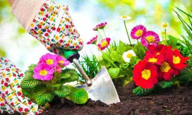 календар, місячний календар, місячний календар городника, місячний календар садівника, місячний календар на березень 2023 року