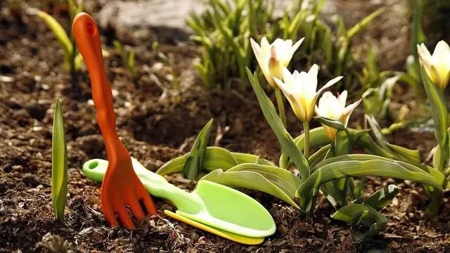 Місячний календар городника та садівника на травень 2023 року що робити в саду та коли у травні 2023 року для садівника, календар робіт для садівника у травні 2023 року