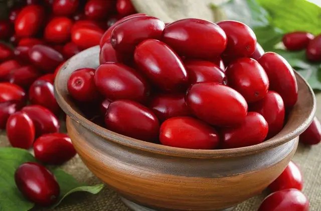 кизил, выращивание кизила, полезные свойства кизила, польза ягод кизила, влияние кизила на организм человека