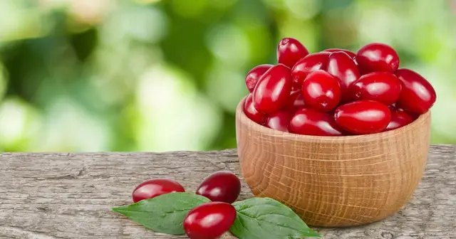 кизил, выращивание кизила, полезные свойства кизила, польза ягод кизила, влияние кизила на организм человека