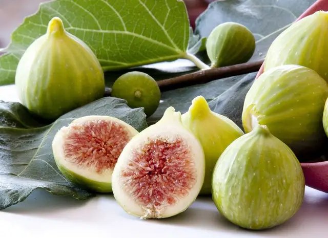 інжир, посадка інжиру, вирощування інжиру, найкращі сорти інжиру, топ-5 найкращих сортів інжиру