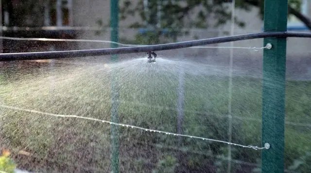 Дощувачі системи поливу, системи поливу у теплиці, переваги різних систем поливу, недоліки різних систем поливу теплиці, яку систему поливу краще вибрати для теплиці