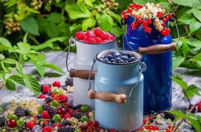 Збір овочів, ягід та фруктів календар, місячний календар, місячний календар на липень, місячний календар садівника, місячний календар городника