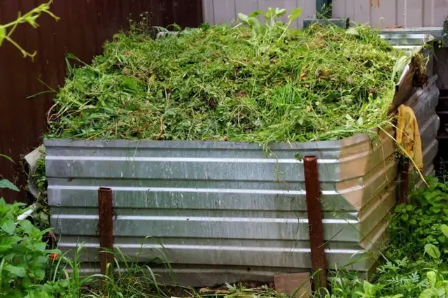 трава, скошена трава, догляд за газоном, використання скошеної трави, де можна використати скошену траву, як використати скошену траву у себе в господарстві