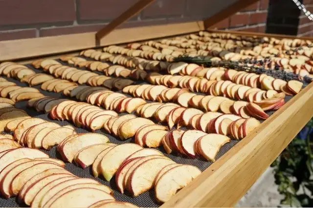 яблука, сушка яблук, як можна засушити яблука, де можна засушити яблука, чи можна сушити яблука в духовці, чи можна сушити яблука у мікрохвильовці, чи можна сушити яблука на сонці